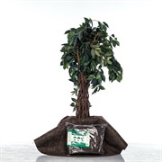 Приствольный круг Геотекстиль 350 г/м.кв, диаметр 100 см H202-30, 2шт - фото 59594