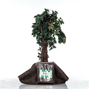 Приствольный круг Геотекстиль 350 г/м.кв диаметр 120 см H202-08, 2шт - фото 59609