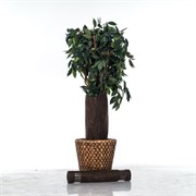 Лента для защиты стволов деревьев Геотекстиль 350 г/м.кв., 50*150 см H202-28 - фото 59632