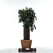 Лента для защиты стволов деревьев Геотекстиль 350 г/м.кв., 50*300 см H202-29 - фото 59671