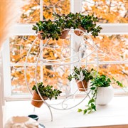 Подставка для цветов на подоконник Птицы на 10 кашпо 41-908W - фото 59838