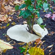 Приствольный круг Геотекстиль 350 г/м.кв. диаметр 40 см H202-05, 3шт - фото 59854