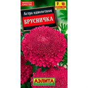 Астра Брусничка - фото 60156