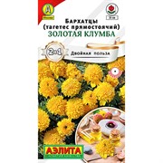 Бархатцы прямостоячие Золотая клумба - фото 60209