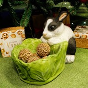 Кашпо садовое для растений Заяц с капустой F08380-WBL - фото 60249