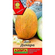 Дыня Динара - фото 60313