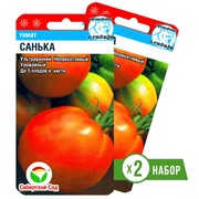 Семена Томат Санька ультраранний 2 х 20шт - фото 60342