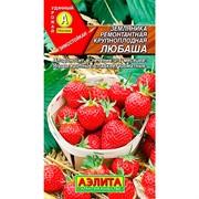 Земляника Любаша - фото 60349