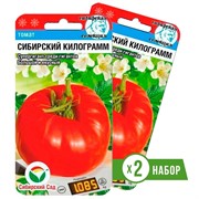 Семена Томат Сибирский килограмм 2 х 20шт - фото 60352