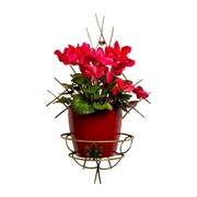 Подставка 15-001 настенная на 1 цветок - фото 60505