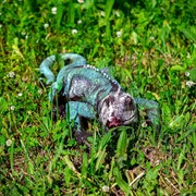 Фигура садовая Игуана средняя длина 65см полистоун F07211 - фото 60634