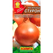 Лук репчатый Стурон - фото 60722