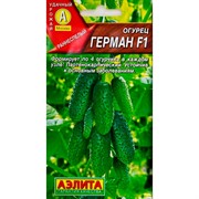 Огурец Герман F1 - фото 60753 Огурец Герман F1 - фото 60753