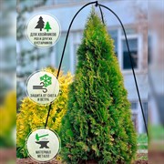 Каркас для укрытия садовых растений на зиму 57-124 - фото 60769 Каркас для укрытия садовых растений на зиму 57-124 - фото 60769