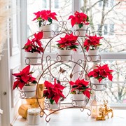 Подставка для цветов на подоконник на 9 цветов черно-золотая 14-909-BG - фото 60860