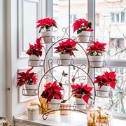 Подставка для цветов на подоконник на 9 цветов черно-золотая 14-909-BG - фото 60861