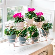 Подставка для цветов на подоконник на 7 цветов металл 14-917 - фото 60863