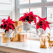 Подставка на подоконник на 3 цветка металл 14-903 - фото 60873