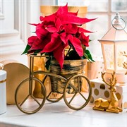 Подставка для цветов на подоконник Велосипед 41-042Br - фото 60875