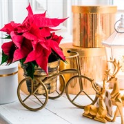 Подставка для цветов на подоконник Велосипед 41-042Br - фото 60876