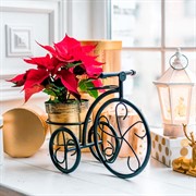 Подставка для цветов на подоконник Велосипед 41-042B - фото 60881