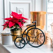 Подставка для цветов на подоконник Велосипед 41-042B - фото 60882
