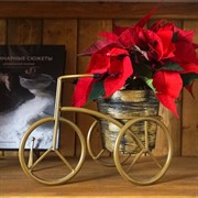 Подставка для цветов на подоконник Велосипед 41-042Br - фото 61010
