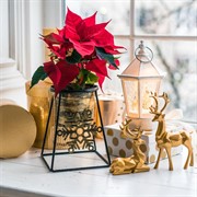 Подставка под 1 цветок на подоконник диаметр 12см металл 660-005BG - фото 61017