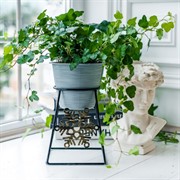 Подставка под 1 цветок на подоконник диаметр 12см металл 660-005BG - фото 61018