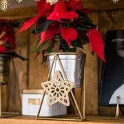 Подставка под цветок на подоконник Звезда золотая 660-006G - фото 61022