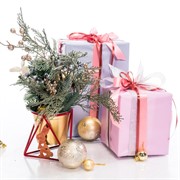 Подставка под цветы на подоконник 660-007R - фото 61162