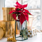 Подставка под цветы на подоконник 660-015Gr - фото 61164