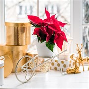 Подставка под цветы на подоконник 950-039WG - фото 61168