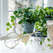 Подставка под цветы на подоконник 950-039WG - фото 61170