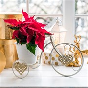 Подставка под цветы на подоконник Велосипед белый металл 950-040WG - фото 61172