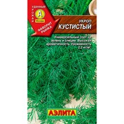 Укроп Кустистый Лидер - фото 61213