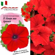 Петуния Аморе Мио F1 красная - фото 61227