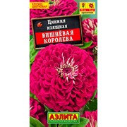 Цинния Вишневая королева - фото 61407