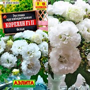 Эустома Корелли F1 белая - фото 61429