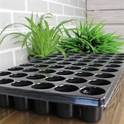 Кассета для рассады 54 ячейки круглые 90мл - фото 61639