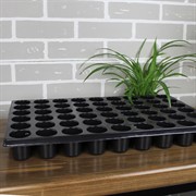 Кассета для рассады 54 ячейки круглые 90мл - фото 61641