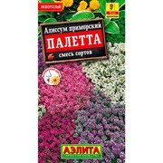 Алиссум Палетта смесь - фото 61706