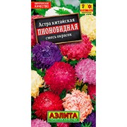 Астра Пионовидная смесь - фото 61708