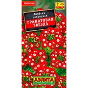 Вербена Гранатовая звезда - фото 61710