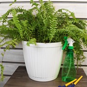 Горшок Барселона 9,6л белый - фото 61756