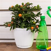 Горшок Барселона 1,8л белый - фото 61758