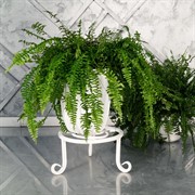 Подставка напольная круглая металл 36 см 21-009W - фото 61795