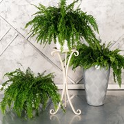 Подставка напольная под 1 цветок металл белая высота 66см 401-010IG - фото 61807