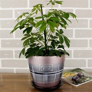 Набор горшков РОСПИСЬ бутон браслет 4шт - фото 61887