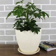 Горшок ВИНИЛ 5,4л бутон беж 21см - фото 61958